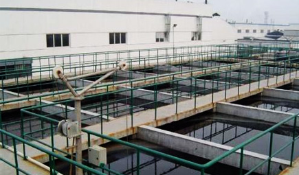 養殖糖心APP免费下载